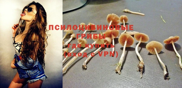ALPHA PVP Аркадак